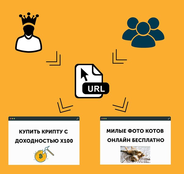 Клоака это